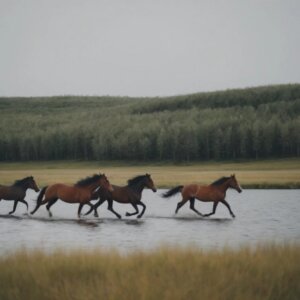 5 razas de caballos