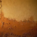 5 pasos para eliminar el moho de la pared de tu casa
