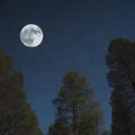 ¿De qué están formadas las estrellas?