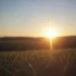 Descubre Cómo y Por Qué el Sol Ilumina Nuestros Días