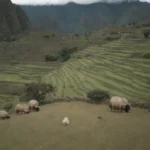 Explora las Maravillosas Regiones del Perú para quedar boquiabierto
