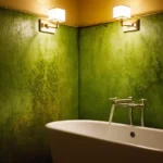 Guía Paso a Paso para Limpiar Moho en Lugares Específicos. Desde el Colchón hasta la Ducha