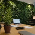 Las Mejores Plantas de Interior que Casi No Necesitan Cuidado
