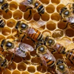 Las abejas Polinizadores Más Importantes Para Plantas Y Flores