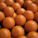 Que Aportan las Naranjas a tu Dieta del Dia a día