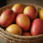 Qué Variedades de Mango Existen