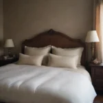 Todo sobre Almohadas Ergonómicas. Comodidad y Salud para tu Cuello