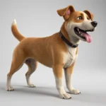 Cuál es la esperanza de vida del perro