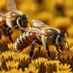 La abeja muere después de picarte