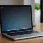 Como obtener el numero de la seguridad social