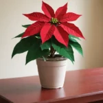 Cómo podar la flor de Pascua