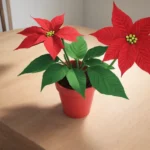 Cómo regar la flor de Pascua