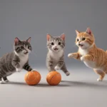Como saber la edad de un gato