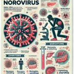 Qué es el Norovirus