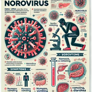 ¿Qué es el Norovirus?