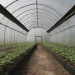 Descubre los Increíbles Beneficios del Pepino
