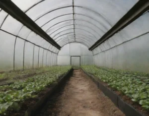 Descubre los Increíbles Beneficios del Pepino: Hidratación, Salud y Bienestar