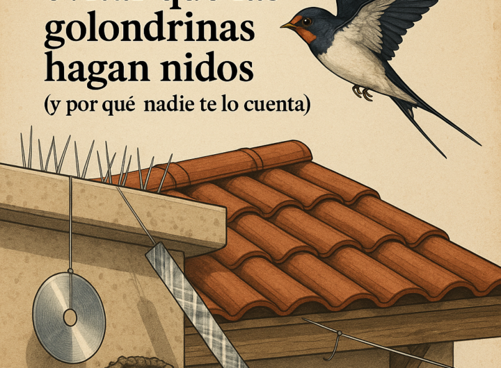 evitar que las golondrinas hagan nidos